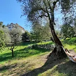 Casa Elisabetta Shortlets Lägenhet *