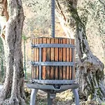 Appartement Casa Elisabetta Shortlets *