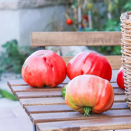 Apartamento Casa Elisabetta Shortlets Caposele