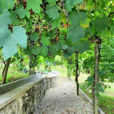 Διαμέρισμα Casa Elisabetta Shortlets