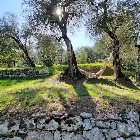 Διαμέρισμα Casa Elisabetta Shortlets *